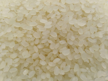 Korean short-grain white rice (uncooked)