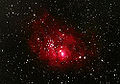 La nébuleuse photographiée via un télescope amateur de 130 mm.