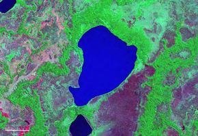 Laguna San Antonio Bolivia Satellite map 65.60873W 14.png