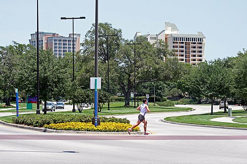 Lake Buena Vista chiropractor