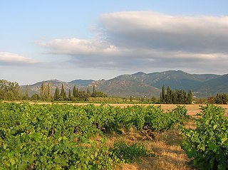 Albera Massif mountain range