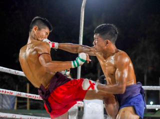 <span class="mw-page-title-main">Lethwei in popular culture</span> Burmese martial art