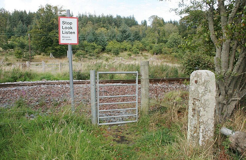 File:Level crossing - geograph.org.uk - 5920174.jpg