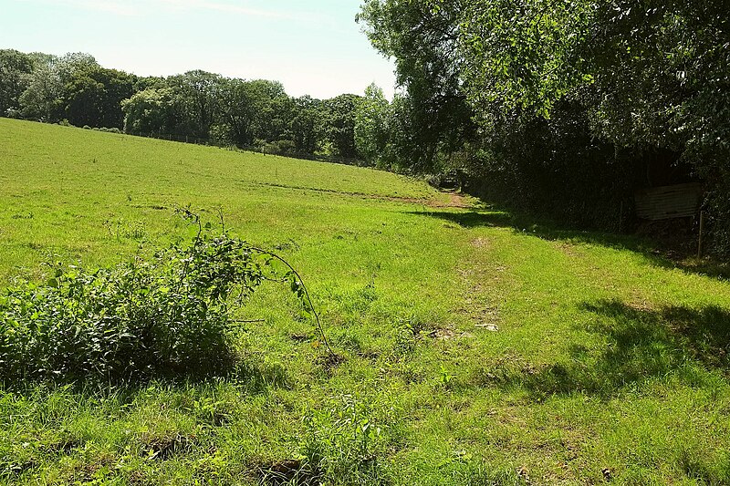 File:Line of footpath near Foxdon - geograph.org.uk - 5075873.jpg