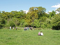 Perivale Wood