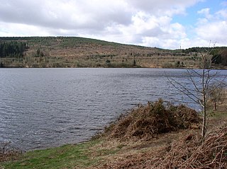 <span class="mw-page-title-main">Llwyn-on Reservoir</span> Body of water