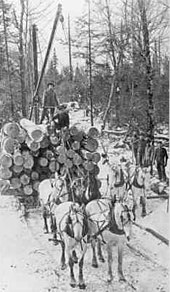 A crew hauling logs for the Fountain-Campbell Lumber Company in northwest Taylor County, 1909