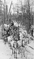 Image 37Logs being transported on a sleigh after being cut. (from History of Wisconsin)