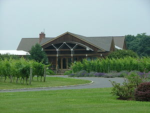 Weingut und Rebgarten auf Long Island