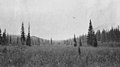 Looking across hills from near the headwaters of Moore Creek and Bonanza Creek, Alaska, September 1914 (AL+CA 3950).jpg