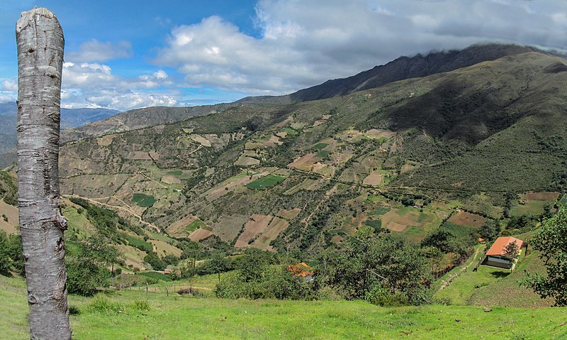 File:Los Nevados from Venezuela.jpg