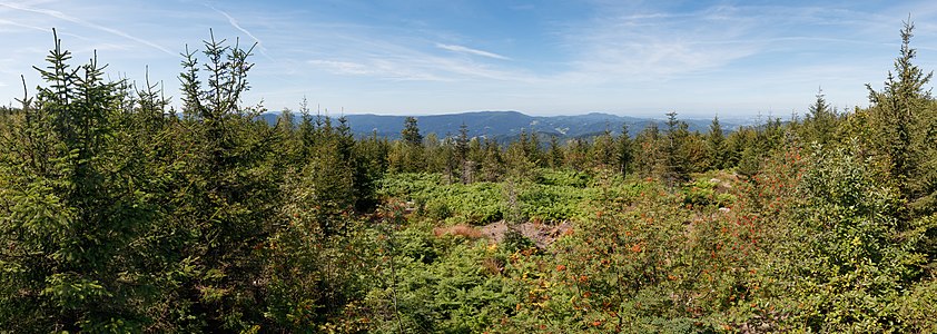 Lothar Path Black Forest National Park