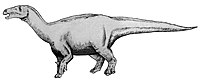 Lurdusaurus1 flipped.jpg