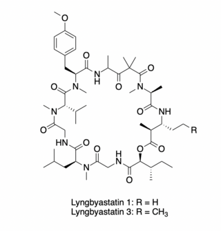 <span class="mw-page-title-main">Lyngbyastatins</span> Chemical compound