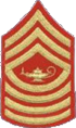 MCJROTC SgtMaj insignia.png