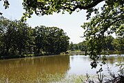 Čeština: Rybník Malý Smutný (2,3 ha) v k.ú. Buková u Nových Hradů, obec Olešnice, okres České Budějovice. English: Malý Smutný pond in Olešnice, České Budějovice District, South Bohemian Region, Czechia.