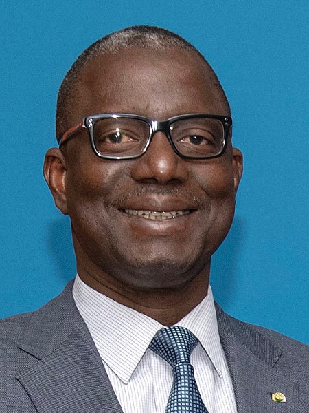 File:Marou Amadou 2019.jpg