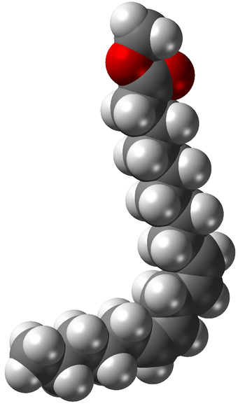 Space-filling model of methyl linoleate, or linoleic acid methyl ester, a common methyl ester produced from soybean or canola oil and methanol