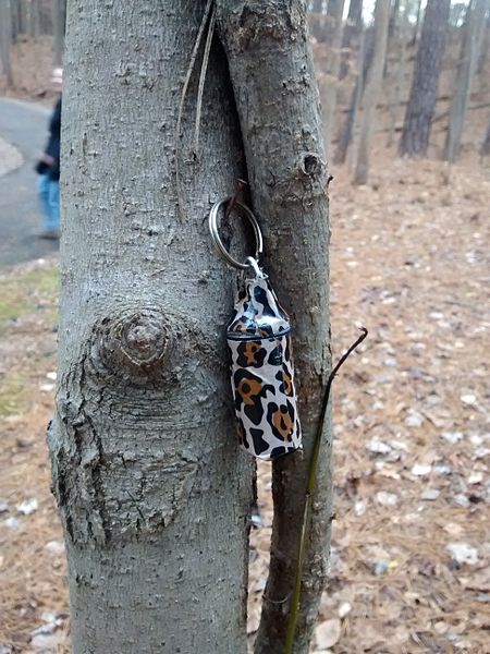 File:Micro geocache in a tree close up.jpg