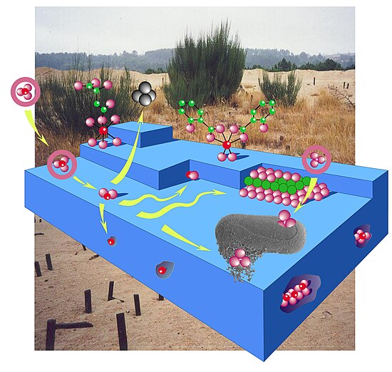 Main sorption processes of adsorbate molecules and atoms at mineral-water interface used to remediate contaminated sites and clean wastewaters.