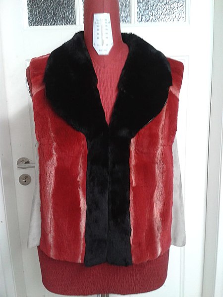 File:Mink fur jacket with leather, again rcycled as vest, 2019 (1).jpg