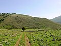 Monte Scardina - Higlands