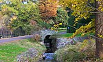 Morris Arboretum