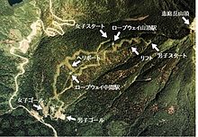 Vue aérienne des pistes défrichées en 1972, quatre ans plus tard.