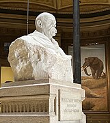 Bust of Francisco Moreno in atrium