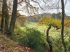 Feuchtbrache im Deilbachtal