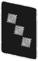 NSKK סמל הדרגה - תג צווארון