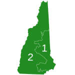 New Hampshire Democratic presidential primary election results by congressional district, 2020.svg