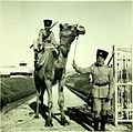 תצלום נוטרים בתחנת המשטרה בסאריס שבהרי יהודה, 1939