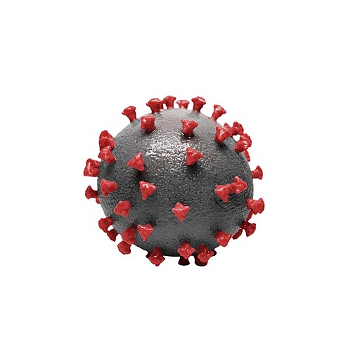 Novel Coronavirus SARS-CoV-2 (51240985843)