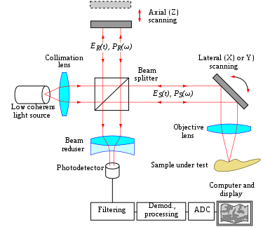 Fig. 2 Typical optical setup of single point OCT. Scanning the light beam on the sample enables non-invasive cross-sectional imaging up to 3 mm in depth with micrometer resolution. OCT B-Scan Setup-en.svg