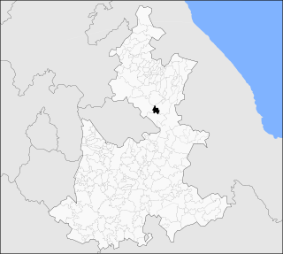 <span class="mw-page-title-main">Ocotepec Municipality</span> Municipality and town in Puebla, Mexico