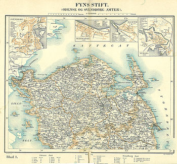 Odense Amt: Amtets udstrækning, Assens og Odense amtsrådskredse, Amtmænd