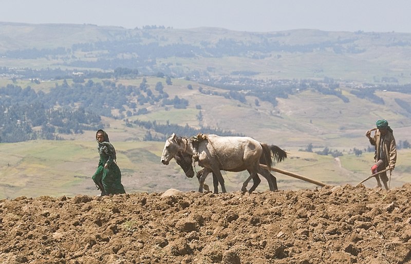 File:On The Road To Simien Mountains National Park, Ethiopia (2446809771).jpg