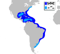 Миниатюра для Файл:Ostichthys trachypoma mapa.svg