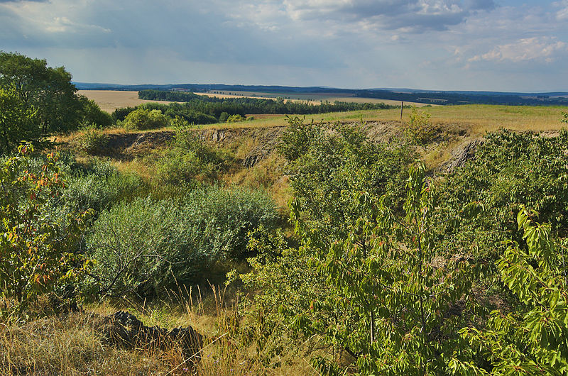 File:Přírodní památka Ohrozim-Horka, okres Prostějov (10).jpg