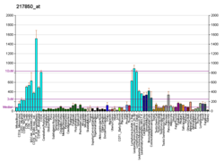 PBB GE GNL3 217850, fs.png'de