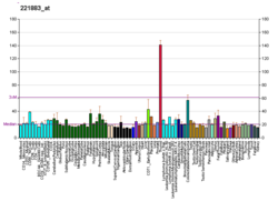 Ps.Bng da PBB GE PKNOX1 221883