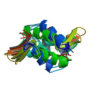 Histone H1 One of the five main histone proteins