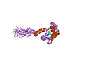 PDB 1sbj EBI.jpg