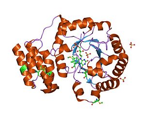 tRNA-dihydrouridine synthase