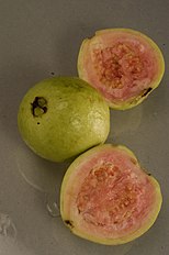 Psidium guajava from Indonesia.