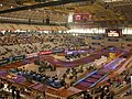 Miniatura para Trial Indoor Internacional de Barcelona