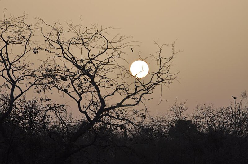 File:Panna NationalForestArea DamohRoad Sunrise.jpg