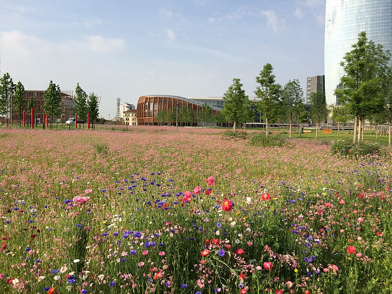 File:Parco Biblioteca degli Alberi.jpg