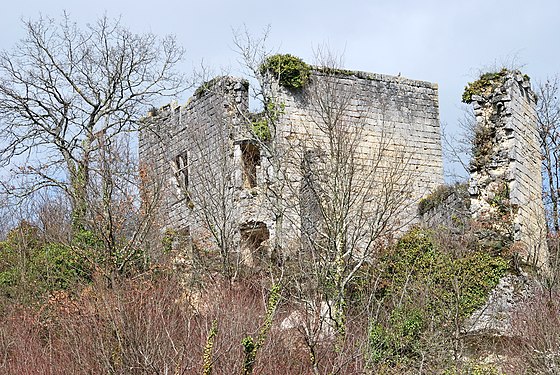 Parsac Château Malengin 10.jpg